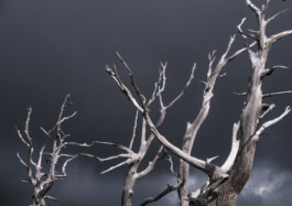  elias rösli photography luzern