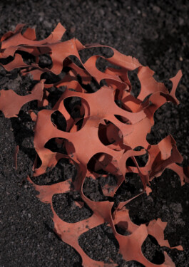  elias rösli photography luzern