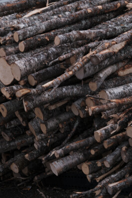  elias rösli photography luzern