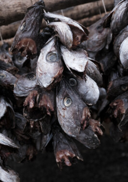  elias rösli photography luzern