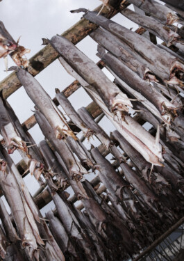  elias rösli photography luzern