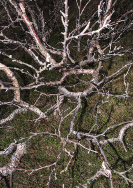  elias rösli photography luzern