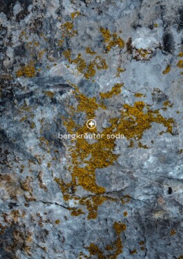  elias rösli photography luzern