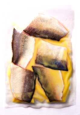  elias rösli photography luzern