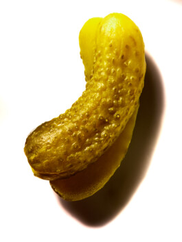  elias rösli photography luzern